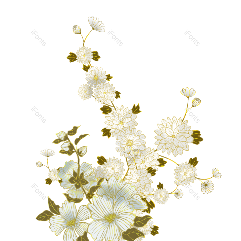 花朵图片,鲜花元素,植物素材PNG,植物免抠素材